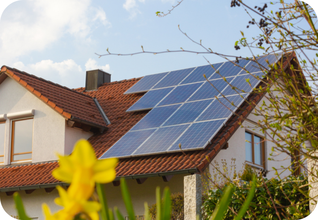 House with red clay roof with solar panels and yellow flower in front