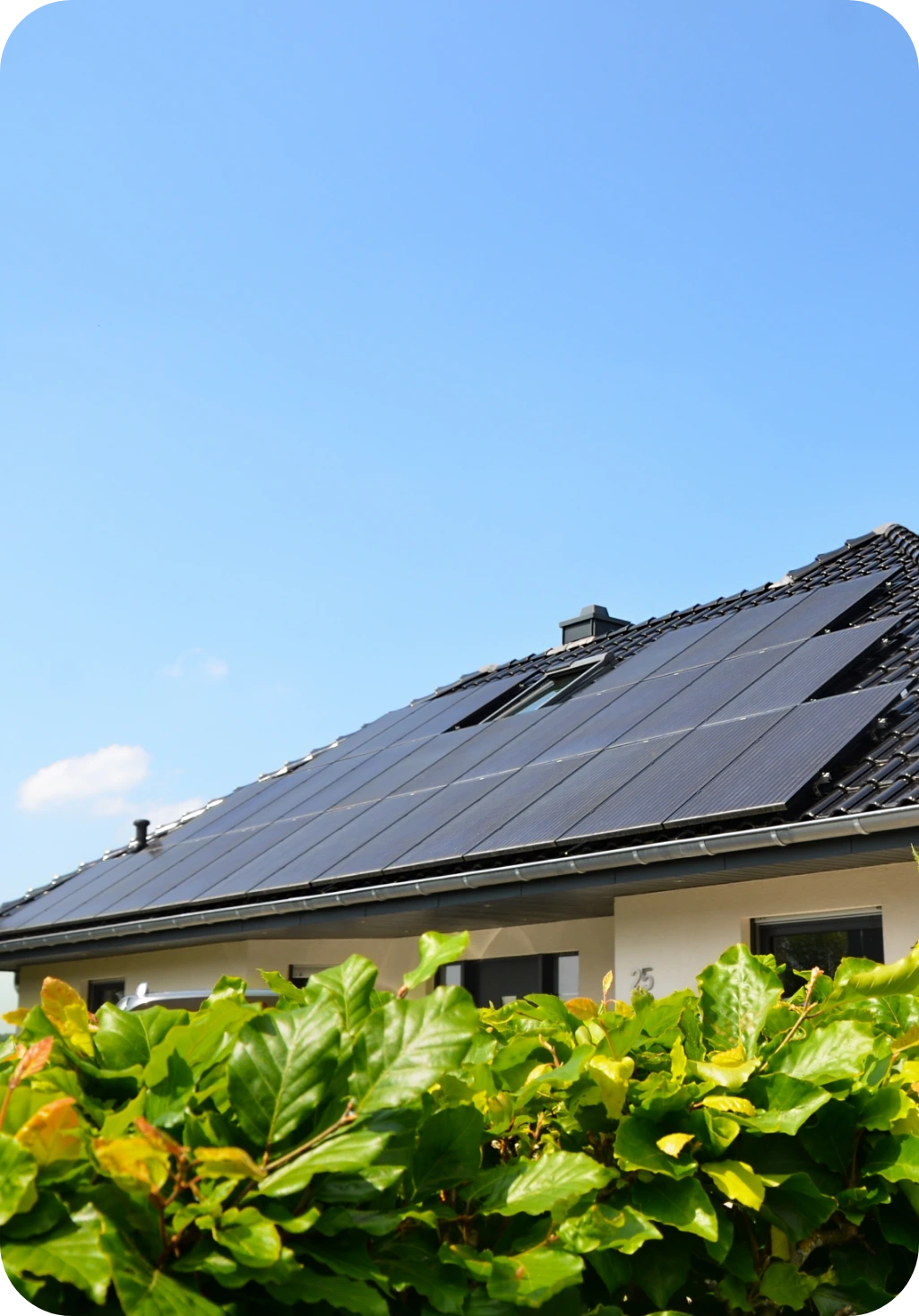 House with solar panels and leafy plants in front